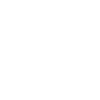 Child Custody & Visitation icon